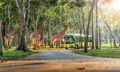 “Vùng xanh” Vinhomes Green Paradise - Món quà đầu đời vô giá cha mẹ dành cho con