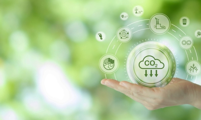 Doanh nghiệp Việt tăng đầu tư cho phát triển bền vững