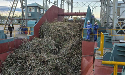 Nhà máy Đường An Khê vào vụ ép mới