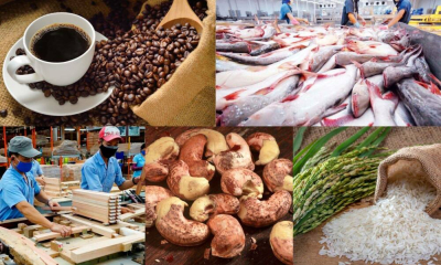 Xuất khẩu nông, lâm, thủy sản tăng tốc, hướng mục tiêu 70 tỷ USD năm 2025