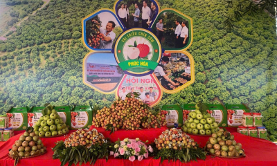 Xã Phúc Hòa đẩy nhanh tiến độ hoàn thiện hồ sơ OCOP - Khẳng định chất lượng đặc sản địa phương