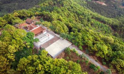 Khi sản phẩm OCOP trở thành động lực mới cho miền quả ngọt