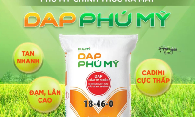 PVFCCo – Phú Mỹ chính thức ra mắt DAP Phú Mỹ, mở rộng danh mục sản phẩm và cung ứng nguồn phân bón chất lượng cao cho thị trường
