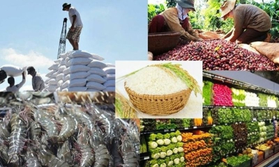 Tạo sức bật lớn cho xuất khẩu nông sản Việt