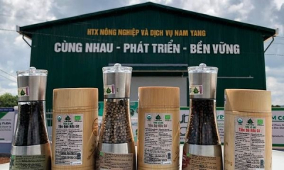 HTX Nam Yang Gia Lai thúc đẩy xây dựng nông thôn mới