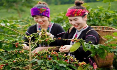 Điểm tựa cho xây dựng nông thôn mới ở Quảng Trị