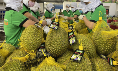 Xuất khẩu rau quả lập kỷ lục mới