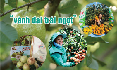 Chuyến du hành giữa sắc xanh và hương trái ở đất Kinh Bắc