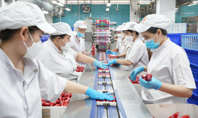 VISSAN chi hơn 530 tỷ đồng dự trữ hàng Tết 2026, tăng nguồn cung và ra mắt nhiều sản phẩm mới