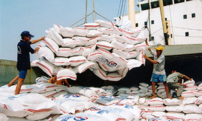 Tái cấu trúc để  gạo Việt cất cánh trong năm 2026