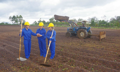 OCOP Đắk Lắk: Từ chuẩn hóa sản phẩm đến chinh phục thị trường