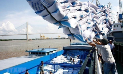 Năm 2025 Việt Nam xuất khẩu trên 8 triệu tấn gạo 