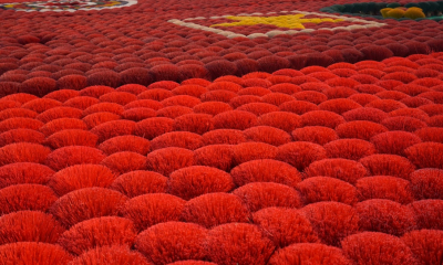 Giữ lửa nghề trăm năm giữa nhịp sống hiện đại