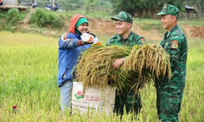 Triển khai Đề án giáo dục, tuyên truyền về Quân đội tham gia lao động sản xuất trên phạm vi cả nước
