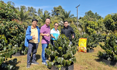 Phú Mỹ bén duyên với cao nguyên Bolaven - hành trình kiến tạo giá trị bền vững cho cà phê Lào