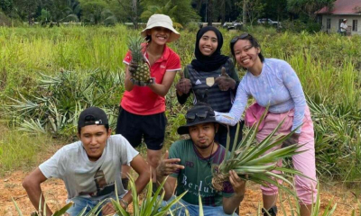 Giới trẻ Đông Nam Á trở lại với ruộng đồng, tìm tương lai từ nông nghiệp