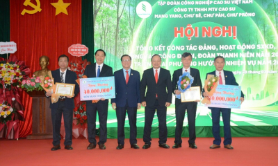 Bốn công ty cao su tại Gia Lai bứt phá lợi nhuận trong năm 2025