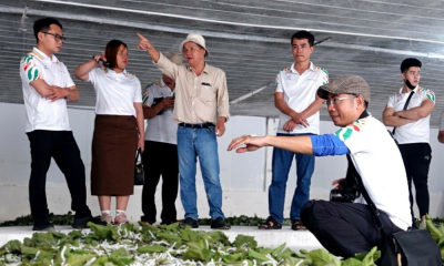 Tổng tài sản của HAGL vượt 1 tỷ USD, lợi nhuận cao kỷ lục 