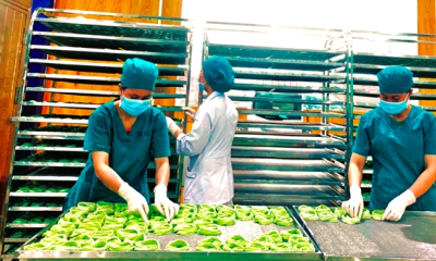 Thưởng Tết Bính Ngọ 2026 tăng hơn năm ngoái dù kinh tế nhiều biến động