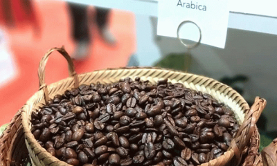 Lào đưa vào vận hành nhà máy rang cà phê bằng hydro đầu tiên tại châu Á