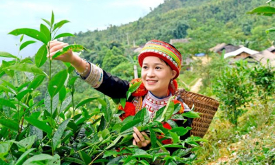 Từ áp lực sụt giảm đến cơ hội tái định vị giá trị năm 2026