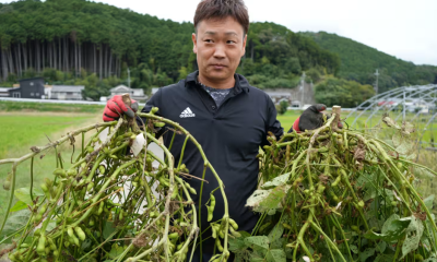 Panasonic phát triển chế phẩm sinh học giúp cây trồng tăng hấp thụ CO₂, hướng tới thị trường tín chỉ carbon