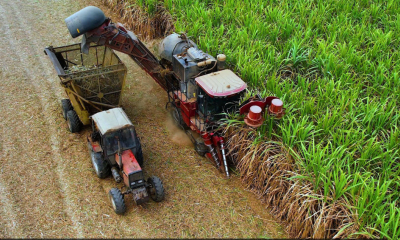 Nhà máy Đường An Khê đóng góp hơn 216 tỉ đồng vào ngân sách tỉnh