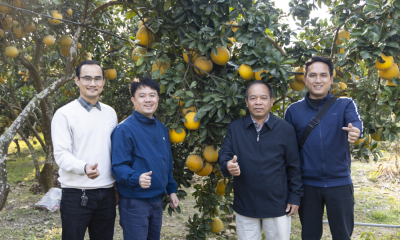 Đón Tết Bính Ngọ cùng tinh hoa sản vật bên dòng Đà Giang 