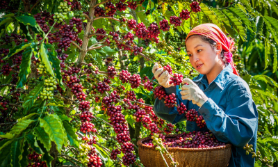 Vận hội mới cho “nông dân chuyên nghiệp”
