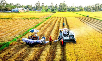 Hợp tác khu vực - “Chìa khóa” giảm phát thải khí nhà kính trong nông nghiệp