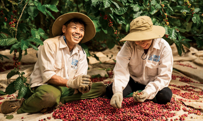 Xuất khẩu cà phê đạt hơn 1 tỷ USD trong tháng 1/2026