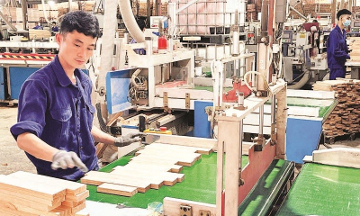 Đầu năm doanh nghiệp tăng tốc gia nhập thị trường