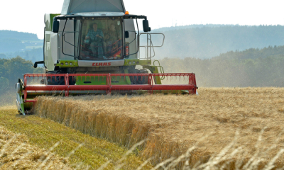 Nông dân Anh đối mặt nguy cơ giảm thu nhập khi Chính phủ áp trần hỗ trợ nông nghiệp bền vững