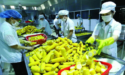 10 chủng loại rau quả xuất khẩu đạt giá trị cao nhất trong tháng 1/2026