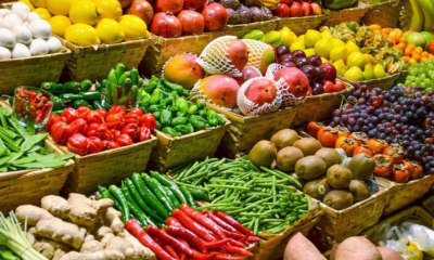 Xuất khẩu nông sản khởi sắc, nhưng chi phí logistics gia tăng