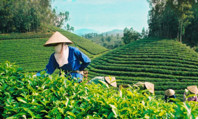 Xuất khẩu nông sản Việt ảnh hưởng lớn từ xung đột Trung Đông