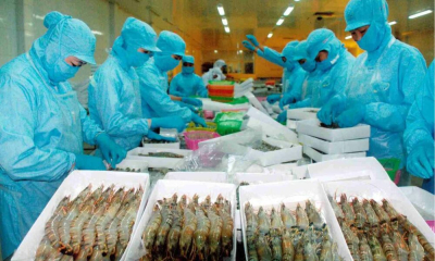 Thủy sản Việt xoay trục khi Mỹ siết chuẩn