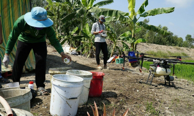 Giá thuốc bảo vệ thực vật tại Indonesia có thể tăng tới 30% do xung đột Trung Đông