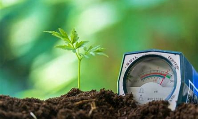 5 giải pháp giúp nông dân nâng cao hiệu quả sản xuất trong bối cảnh chi phí gia tăng