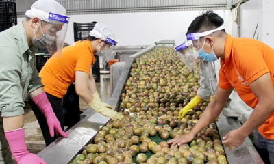 Doanh nghiệp xuất khẩu thực phẩm cần lưu ý quy định đăng ký mới của Trung Quốc