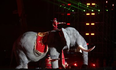 Bản giao hưởng giữa rừng và biển trong đêm khai mạc Năm Du lịch Quốc gia