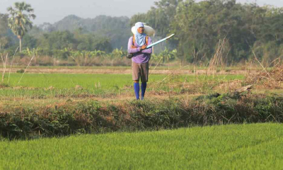 Đông Nam Á đối mặt nguy cơ thiếu phân bón khi giá tăng mạnh do xung đột Iran