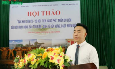 Cồn Cỏ – Đánh thức “viên ngọc xanh” theo hướng kinh tế biển bền vững