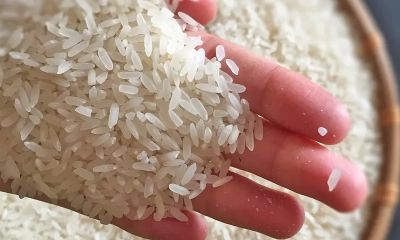 Việt Nam đề nghị EU sửa đổi danh mục gạo thơm ưu đãi thuế