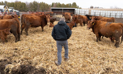 Mỹ tung gói hỗ trợ mới cho nông dân giữa biến động do xung đột Iran
