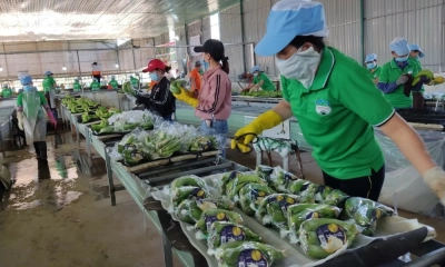 Rau quả quý II dự kiến tiếp tục tăng trưởng