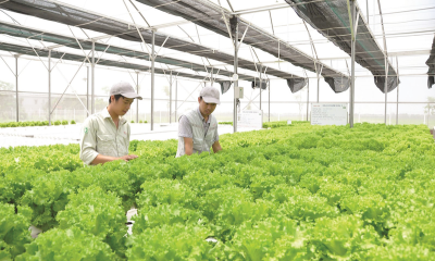Doanh nghiệp nông nghiệp 
