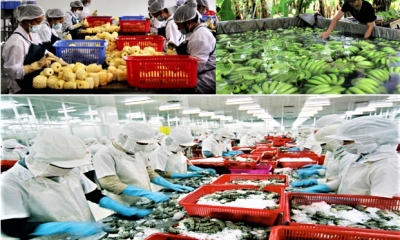 Tổng trị giá xuất nhập khẩu hàng hoá tăng 24,5% so với cùng kỳ năm trước