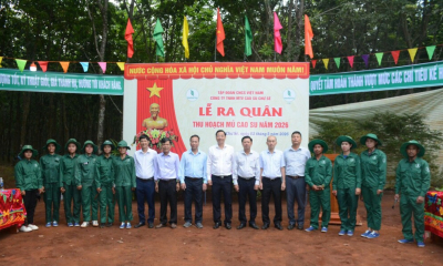 Cao su Chư Sê quyết tâm vượt 10% kế hoạch sản lượng