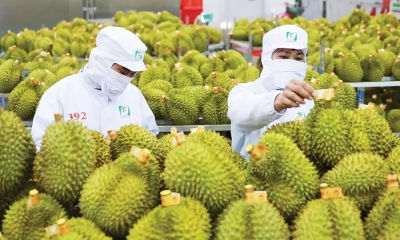 Gỡ 